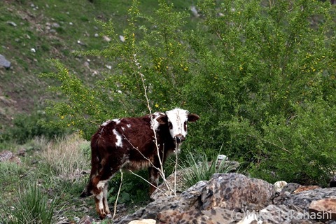 IMG_9311-20210823-174128