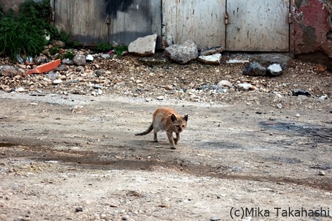 3J0A6756-20250222-165605