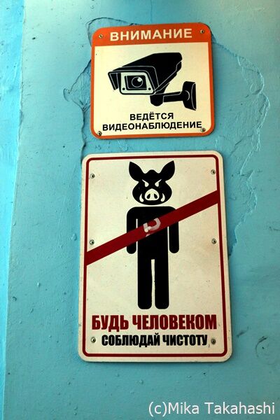 IMG_2184-20200305-120137