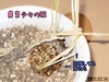 農業少女の稲31