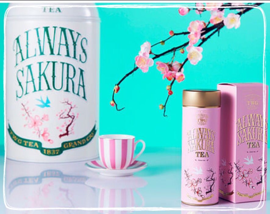 Twg Teaの選びかた Singapore About A Cup Of Tea In Singapore And Yokohama 紅茶のある生活 Twg Teaの選びかた Singapore About A Cup Of Tea In Singapore And Yokohama 紅茶のある生活