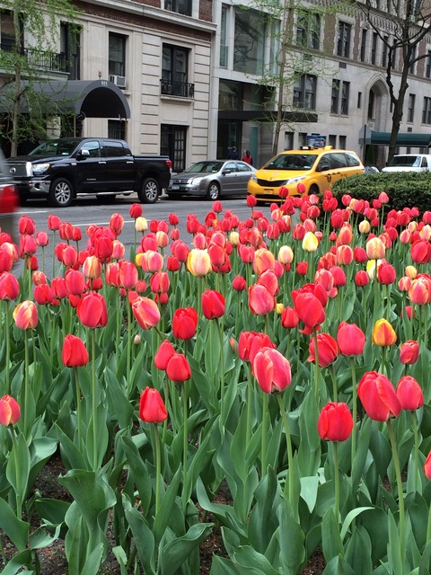 ParkAvenue-3