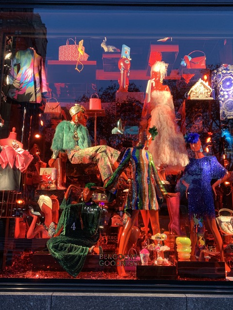 写真 2020-11-24 16 33 11