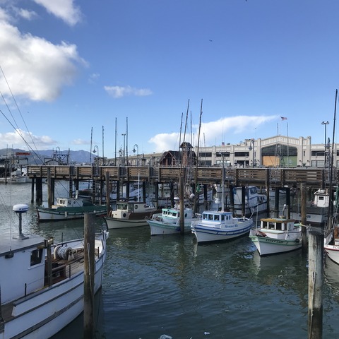 写真 2019-02-17 15 18 04