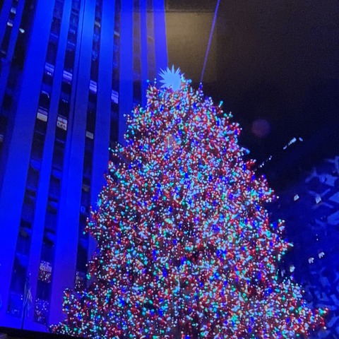 写真 2019-12-04 21 52 41