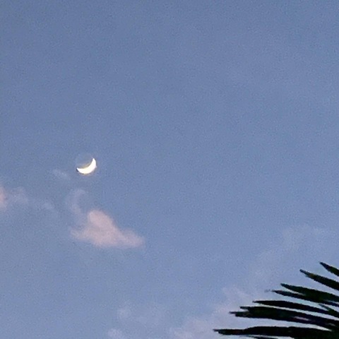 写真 2019-12-30 10 59 31 (1)