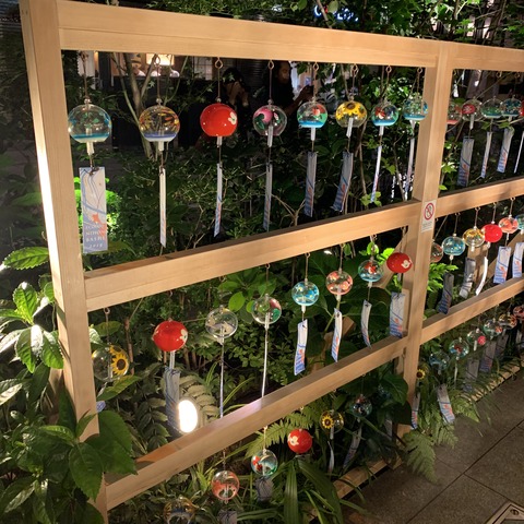 写真 2019-07-10 20 44 30