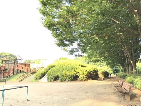 写真 2017-07-12 17 00 26