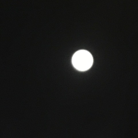 写真 2019-04-19 7 03 02