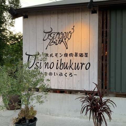 写真 2019-07-22 19 21 18