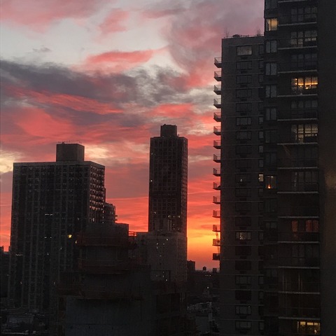 写真 2018-01-19 7 01 30