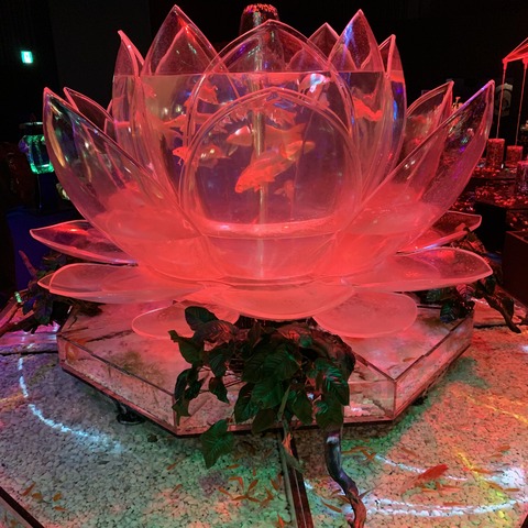 写真 2019-07-10 20 19 51
