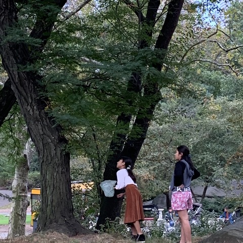 写真 2019-10-06 17 07 21