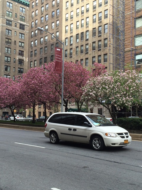 ParkAvenue6