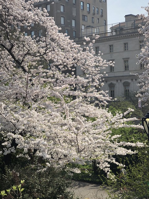 写真 2019-04-14 23 08 40