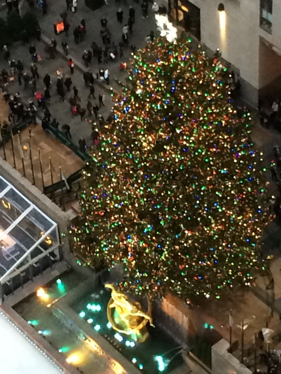 ロックフェラーセンターのクリスマスツリー N Y コーディネーター 倉本美香