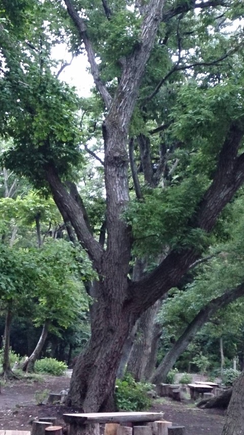 鎌倉4