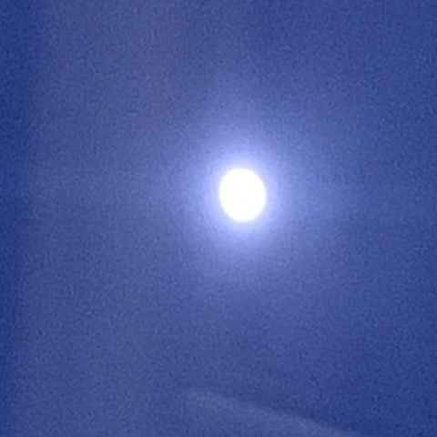 写真 2019-11-09 17 11 34