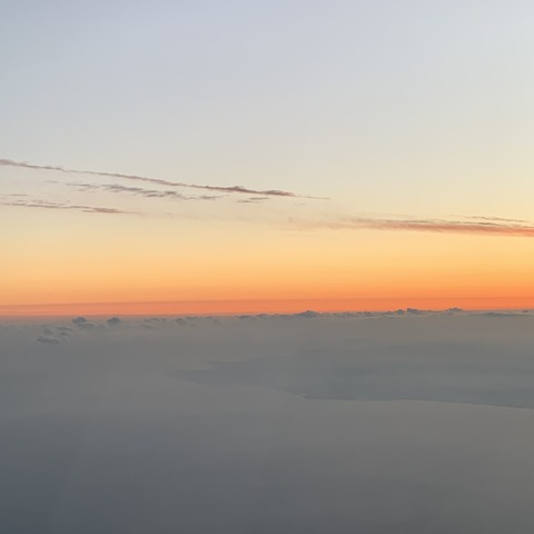 写真 2020-10-29 3 51 31