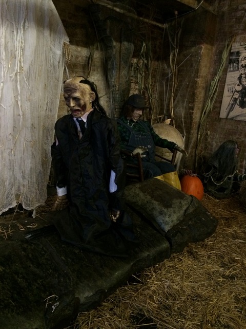 Halloween 2014(15)
