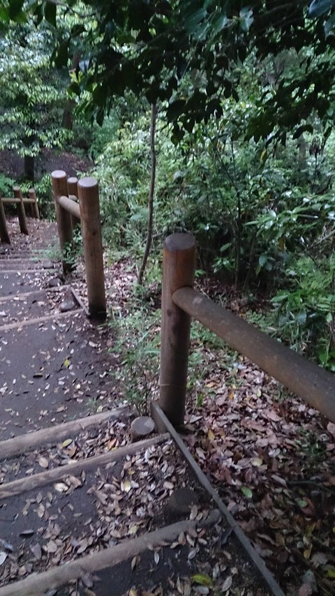 鎌倉2
