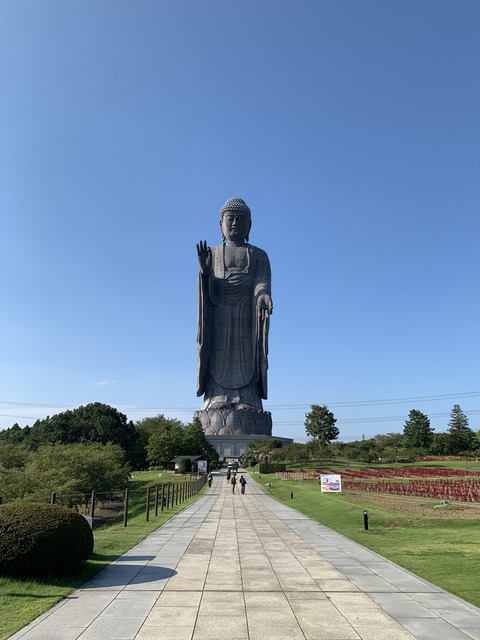 写真 2020-08-21 15 53 08