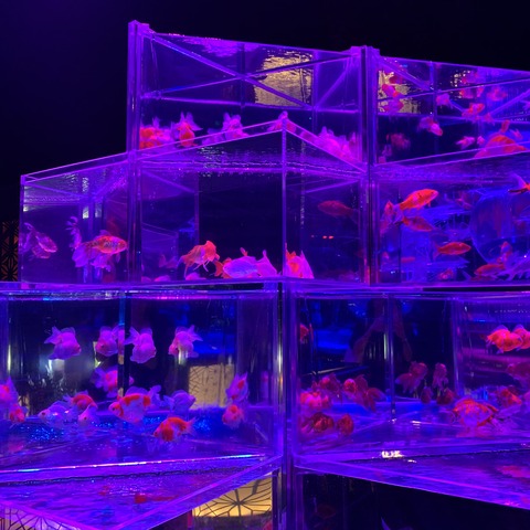 写真 2019-07-10 20 19 11