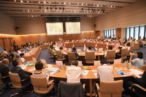 2019-6