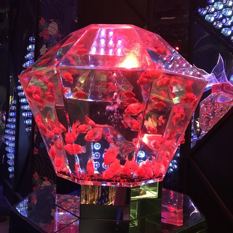 写真 2018-08-03 17 01 21