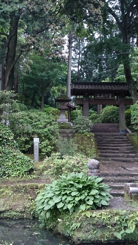 鎌倉5