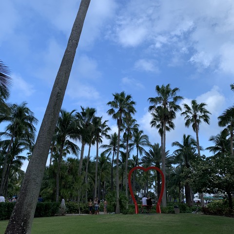 写真 2019-12-31 12 52 57