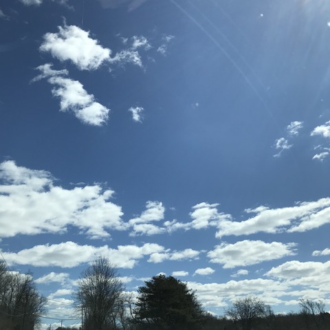 写真 2018-03-24 12 58 43