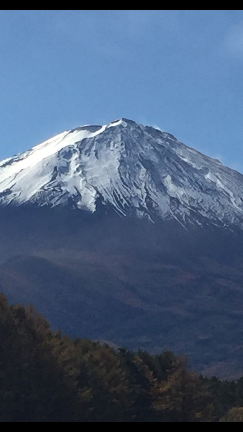 写真 2019-11-06 20 29 12