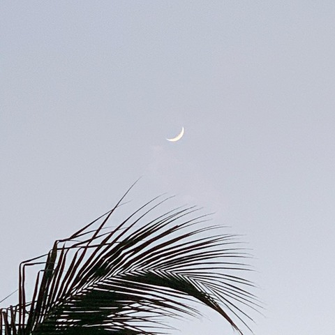写真 2019-12-30 10 59 31