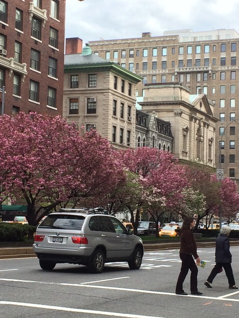 ParkAvenue5