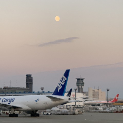 写真 2020-10-29 3 44 08