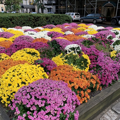 写真 2019-10-27 16 35 31