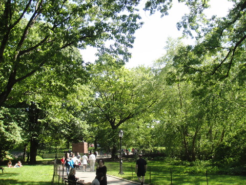 DSC07917