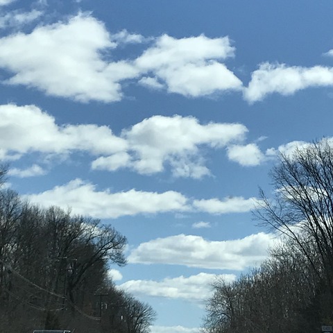写真 2018-03-24 12 57 07