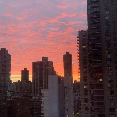 写真 2019-12-01 6 48 49