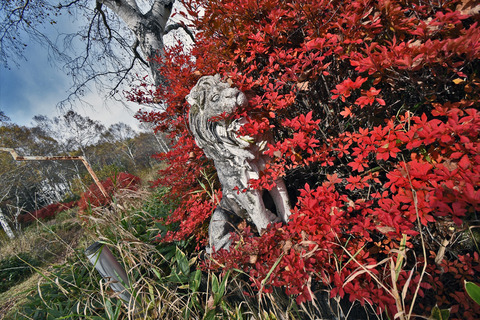 DSC_0543_R