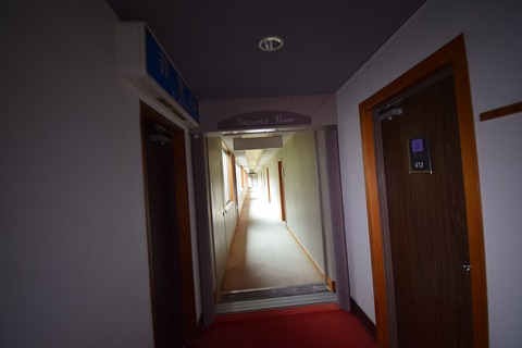 DSC_0036_R