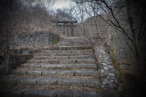 DSC_0462_Rのコピー