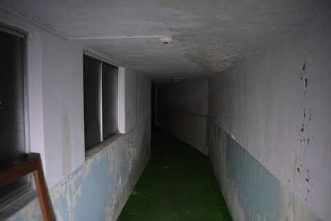 DSC_1073_R
