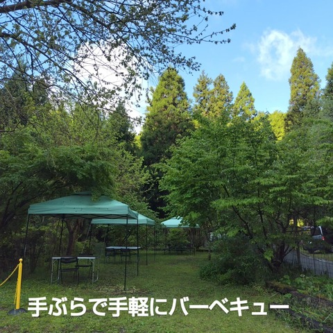 小サイズIMG_20260504_080158_277
