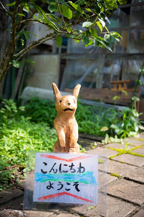 69143432_489855088469146_3802991518231298048_n