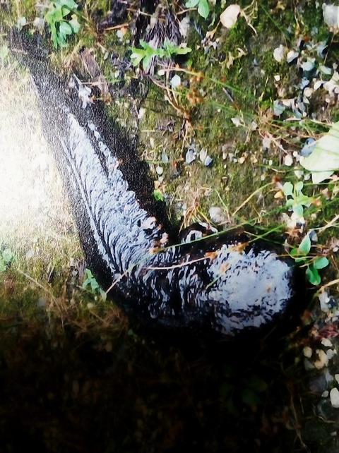 IMG_20180501_193833_167