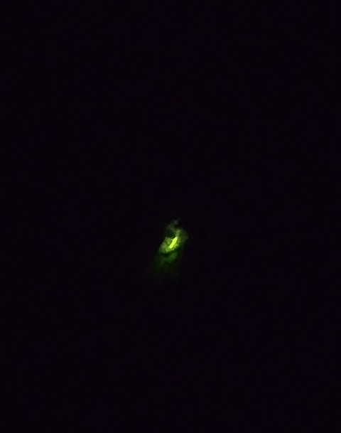 260613204819397~2