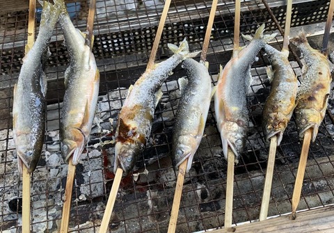 アップ　鮎炭火焼