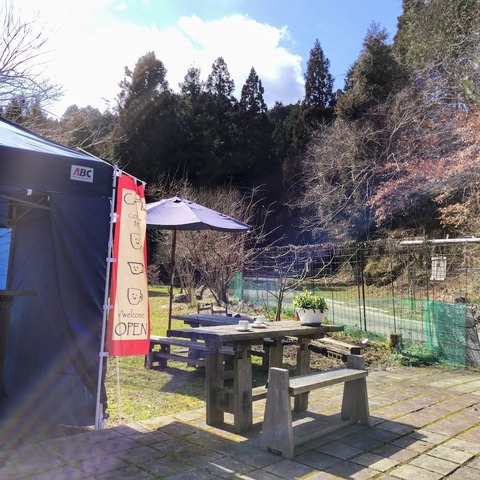 429769541_7666741273370087_1662750885351282768_n